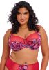 Picture of Elomi - Morgan Full cup Bra - (Most-Loved)