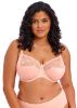 Picture of Elomi - Morgan Full cup Bra - (Most-Loved)