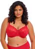 Picture of Elomi - Morgan Full cup Bra - (Most-Loved)