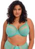 Picture of Elomi Matilda Plunge bra - Jade (SALE)