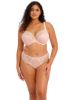 Picture of Elomi Lucy Stretch Plunge Bra