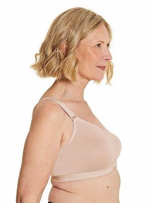 Picture of Royce Silver Post Surgery Bra