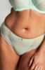 Picture of Panache Ana Brazilian Brief (SALE) Discontinued Colours Last Chance!