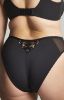 Picture of Panache Sculptresse Nova High Leg Brief