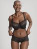 Picture of Panache Andorra Lace Short