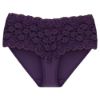 Picture of Triumph Amourette Maxi Brief -Seasonal Colours (SALE)