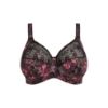 Picture of Elomi - Morgan Full cup Bra - (Most-Loved) - Current Seasonal Dark Romance