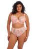 Picture of Elomi Lucie Brazilian Brief- Previous season colours (SALE)